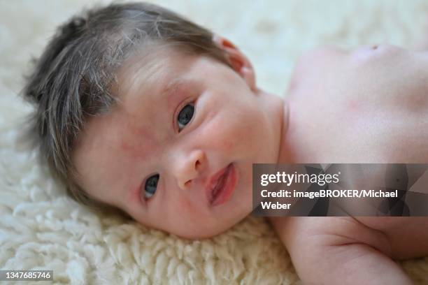 infant, girl, 10 days, stuttgart, baden-wuerttemberg, germany - baby baden stock pictures, royalty-free photos & images