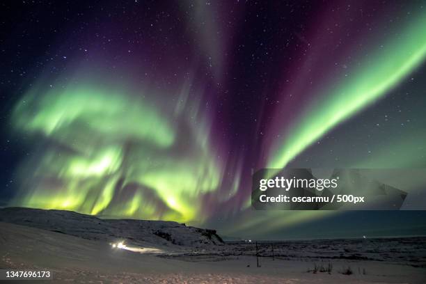 scenic view of aurora borealis against sky at night - floresta de boreal imagens e fotografias de stock