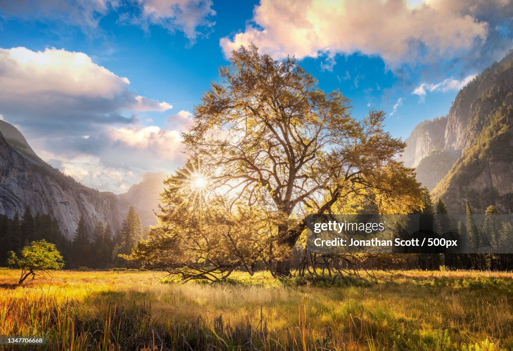 Scenic view of field against sky,Mariposa County,California,United States,USA