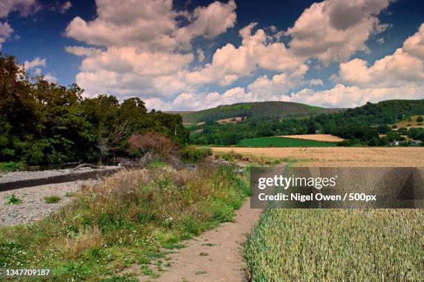 scenic view of field against sky,lower machen,united kingdom,uk - pause machen imagens e fotografias de stock