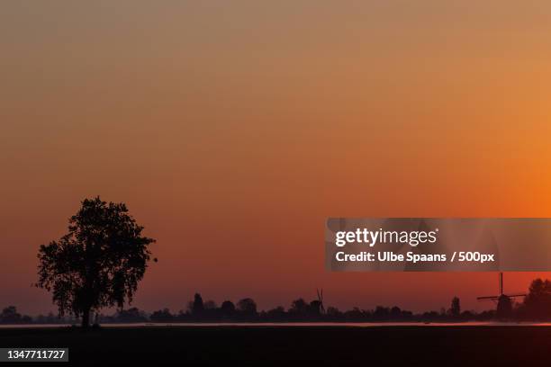 silhouette of trees on field against orange sky - spaans stock pictures, royalty-free photos & images