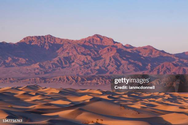 death valley dunes - death valley stock pictures, royalty-free photos & images