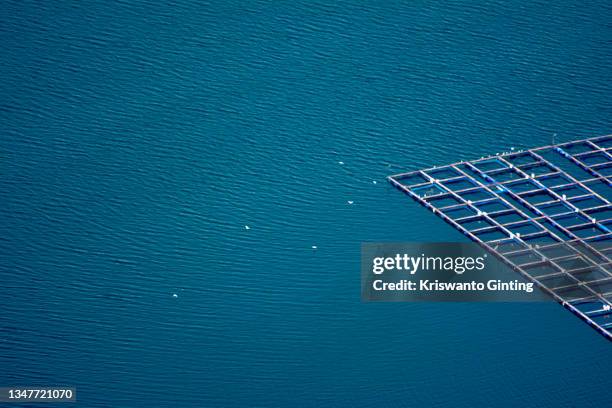 aerial views of floating nets in lake toba - lake toba sumatra stock pictures, royalty-free photos & images