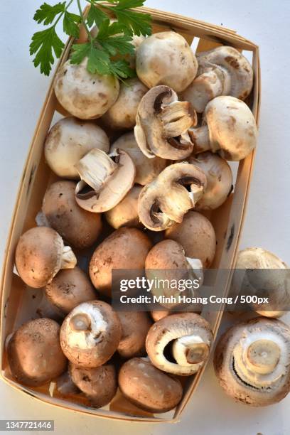 high angle view of mushrooms in bowl on table,france - white mushroom stockfoto's en -beelden