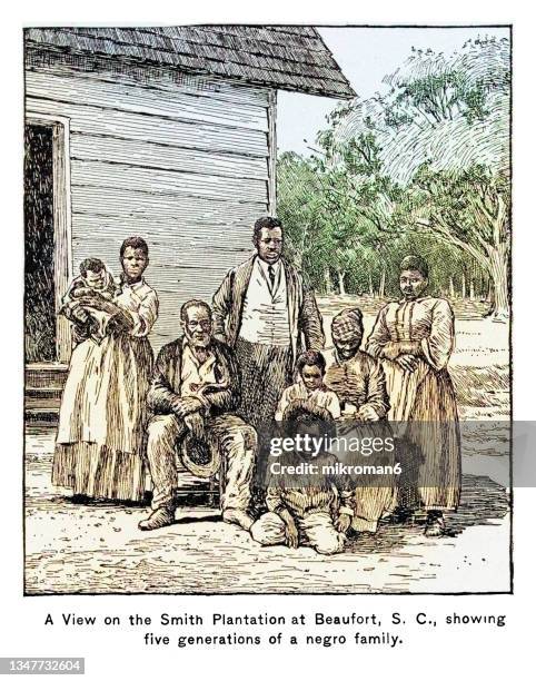 old engraved illustration of a african american slave family representing five generations all born on the plantation of j. j. smith, beaufort, south carolina - slavernij stockfoto's en -beelden