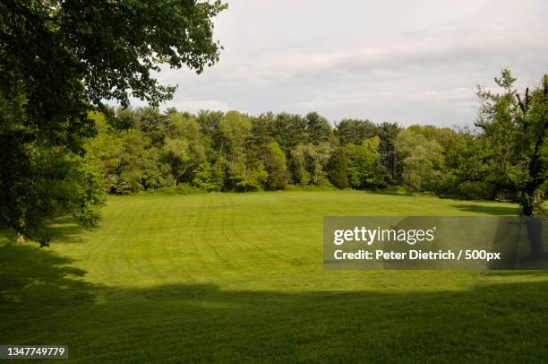 trees on field against sky - bio dietrich stock pictures, royalty-free photos & images