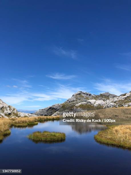 scenic view of lake against blue sky,kahurangi national park,new zealand - tasman district new zealand stock pictures, royalty-free photos & images