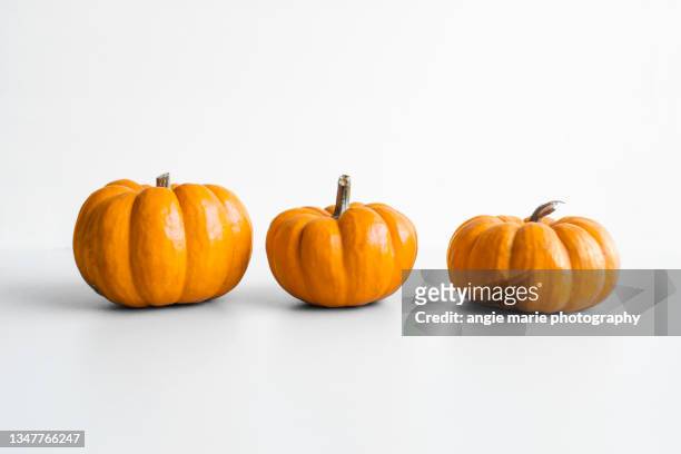 three orange mini pumpkins - pumpa bildbanksfoton och bilder