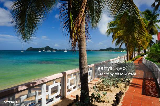tranquil walkway along reduit beach, gros islet, saint lucia - gros islet stock pictures, royalty-free photos & images