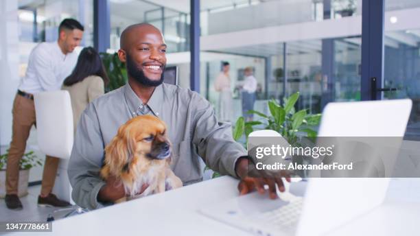 shot of a young businessman using a laptop and cuddling a dog in a modern office - office dog stock pictures, royalty-free photos & images