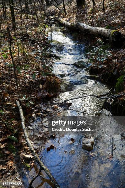 Small Stream Too 10,390 Small Stream Stock Photos, High-Res Pictures, and Images - Getty ...