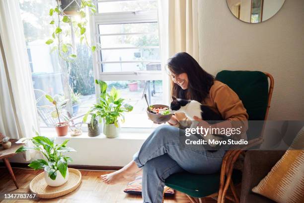 shot of a young woman sharing a healthy meal with her cat on the sofa at home - cat studio shot stock pictures, royalty-free photos & images