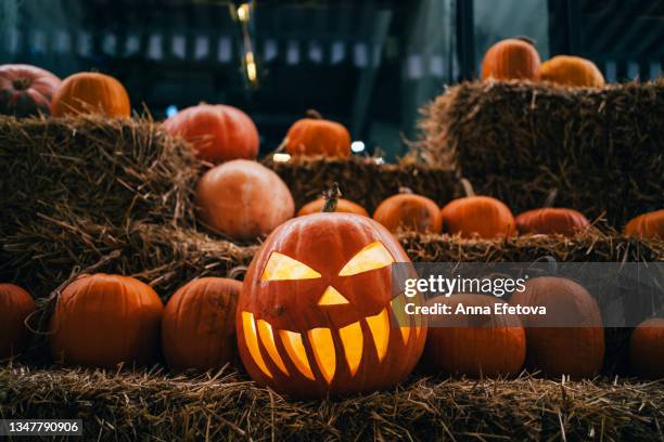 pumpkin with spooky illuminated carved face with lightening among many pumpkins on haystacks. halloween celebration concept. night with beautiful garland lightening. - halloween lantern stock pictures, royalty-free photos & images