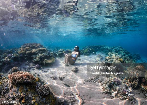 freediver sitting in the sandy patch between the coral reef of the red sea - snorkling red sea stock pictures, royalty-free photos & images