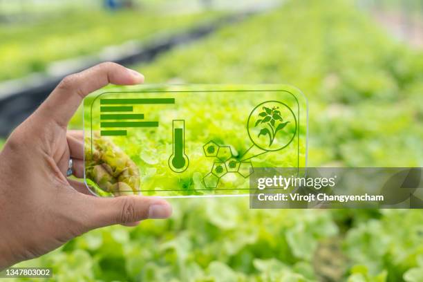 smart farming agribusiness and technology - smart agriculture stock pictures, royalty-free photos & images