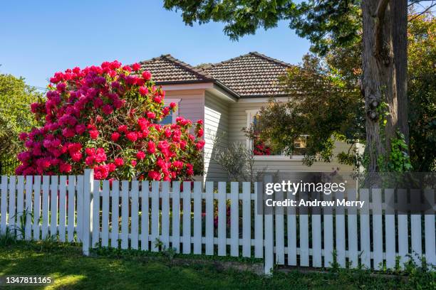 house with picket fence, flowers in garden, springtime, blue sky - tuinhek stockfoto's en -beelden