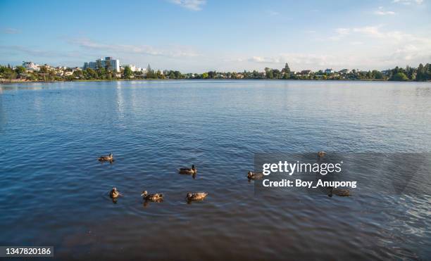 See Hamilton See Hamilton Lake Photos and Premium High Res Pictures - Getty Images