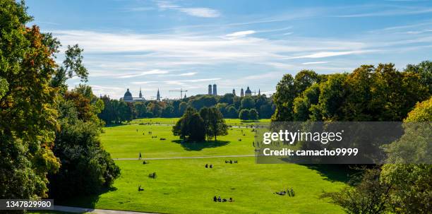 from english garden looking to munich city center skyline - munich stock pictures, royalty-free photos & images