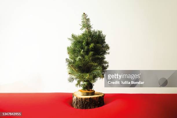 small christmas tree - christmas still life stock-fotos und bilder