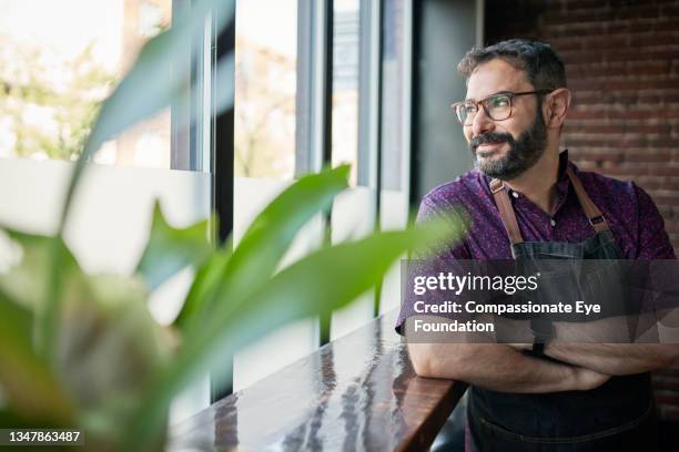 portrait of smiling cafe owner by window - purple shirt stock pictures, royalty-free photos & images