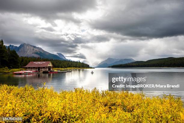 53 Queen Elizabeth Natl Park Stock Photos, High-Res Pictures, and ...