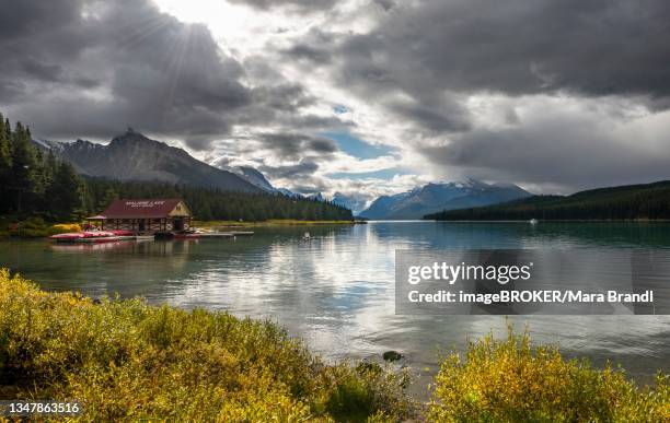 52 Queen Elizabeth Natl Park Stock Photos, High-Res Pictures, and ...