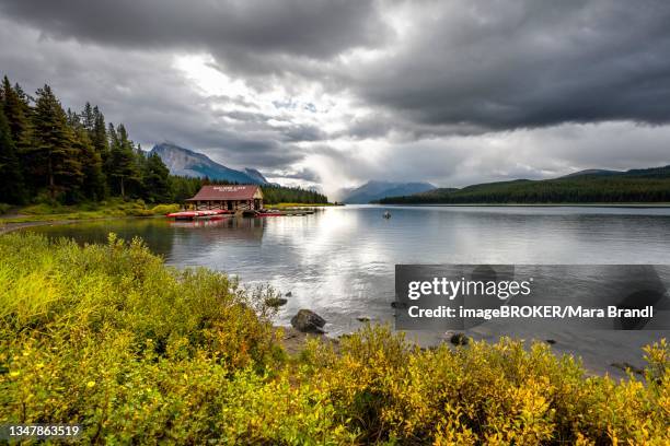 Queen Elizabeth Natl Park Photos and Premium High Res Pictures - Getty ...