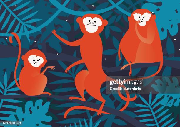 jungle monkeys - plant color stock illustrations