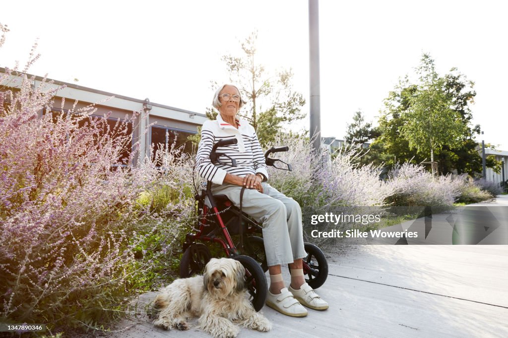 Portrait of a senior woman taking a break from walking her cute dog.
