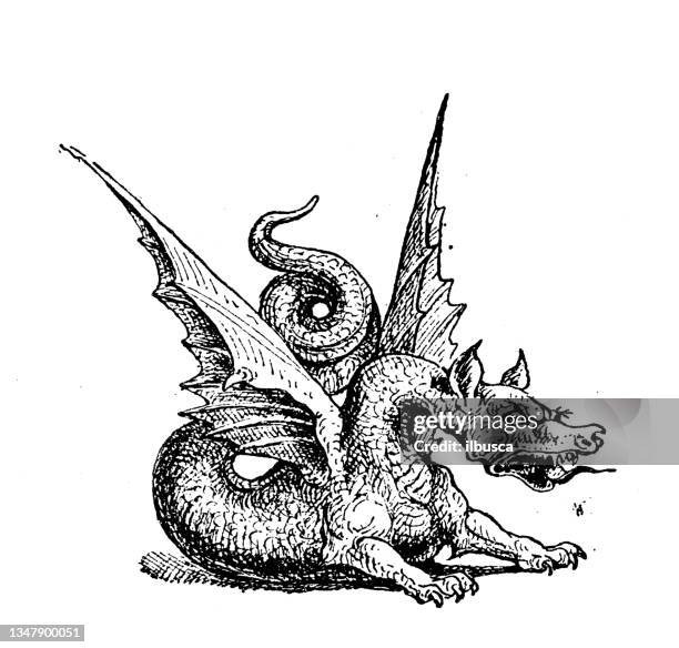 ilustrações de stock, clip art, desenhos animados e ícones de antique illustration: dragon - dragão