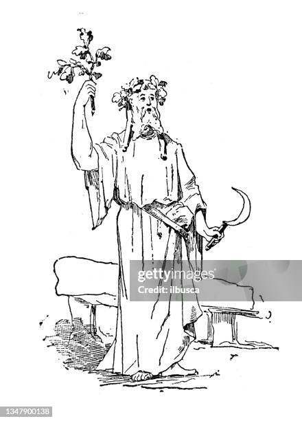 antike illustration: druide - kräutermedizin stock-grafiken, -clipart, -cartoons und -symbole
