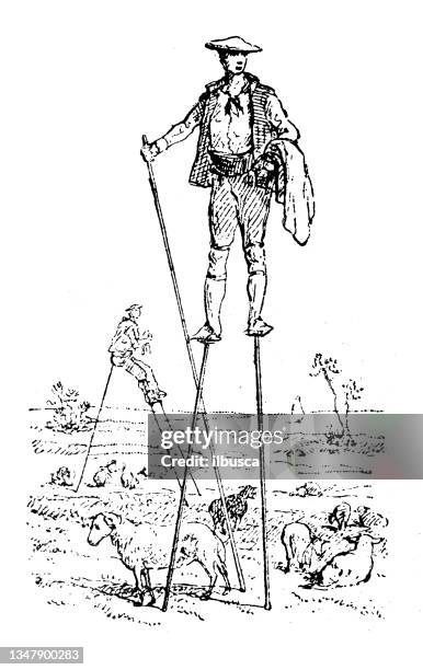 antique illustration: stilt - stilts stock illustrations