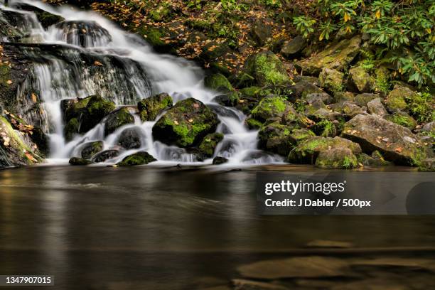 scenic view of waterfall in forest,bryson city,north carolina,united states,usa - bryson city north carolina stock pictures, royalty-free photos & images