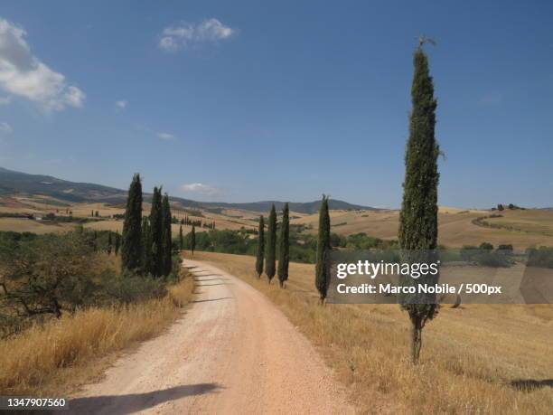 empty road amidst field against sky,sassari,italy - mezzogiorno stock-fotos und bilder