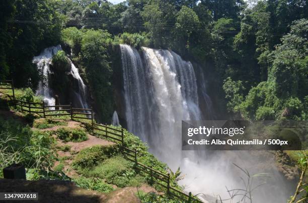 scenic view of waterfall in forest,lago de yojoa,honduras - honduras mountains stock pictures, royalty-free photos & images