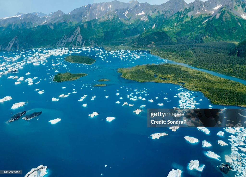 Bear Glacier Lake
