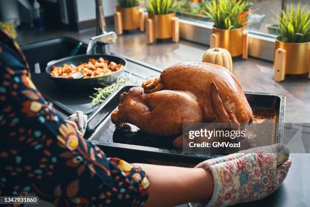 roasting turkey for holiday dinner - turkey imagens e fotografias de stock