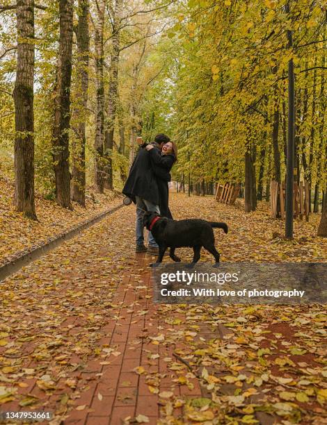 heterosexual couple walking in autumn public park with a dog, black labrador retriever - sept bildbanksfoton och bilder