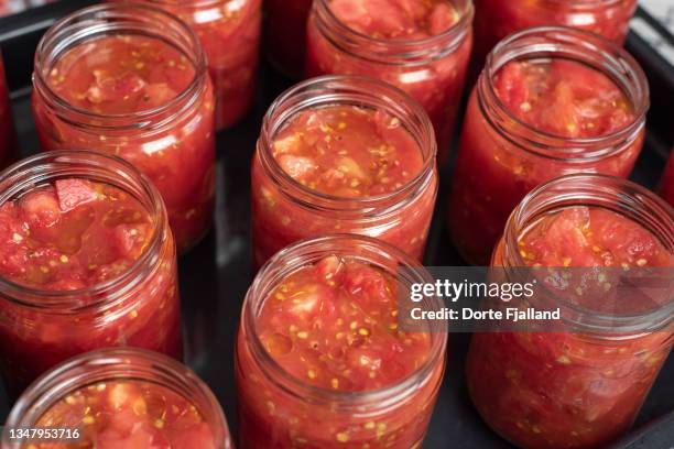 jars filled with tomatoes to be preserved - sauce tex mex photos et images de collection