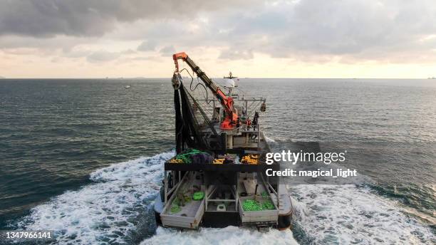 Shift Offloading Boat 1,719 Offloading Fish Stock Photos, High-Res Pictures, and Images ...