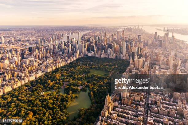 aerial view of new york city skyline with central park and manhattan, usa - new york city stock-fotos und bilder