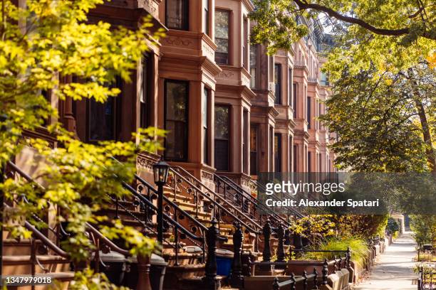 brownstone townhouses in park slope, brooklyn, new york city, usa - brooklyn foto e immagini stock