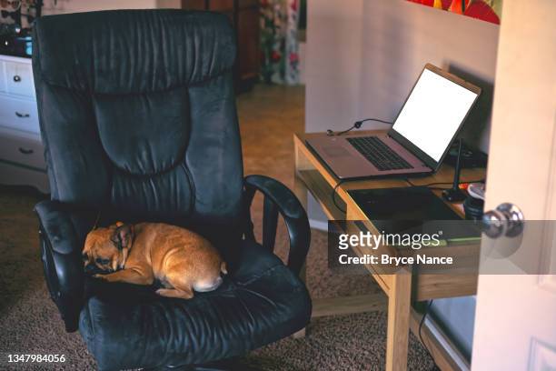 home office - bryce gilbert stock pictures, royalty-free photos & images