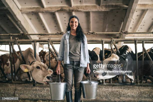 porträt einer selbstbewussten erfolgreichen landarbeiterin, die eimer hält und im kuhstall posiert - farmer female confident stock-fotos und bilder
