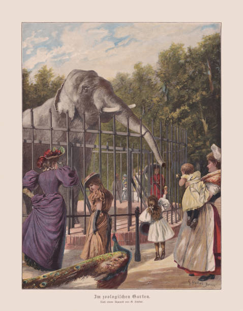 in the zoological garden, color woodcut, published in 1897 - zoo art stock illustrations