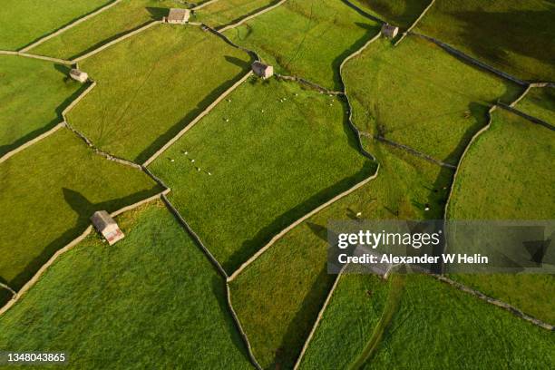 walls and barns - yorkshire dales 個照片及圖片檔