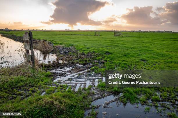 tire marks on an agricultural field - autoreifen natur stock-fotos und bilder