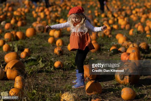 Young girl jumps between pumpkins at Tulleys farm on October 22, 2021 in Crawley, England. Tulleys Farm's annual 'Pick Your Own Pumpkins' event takes...