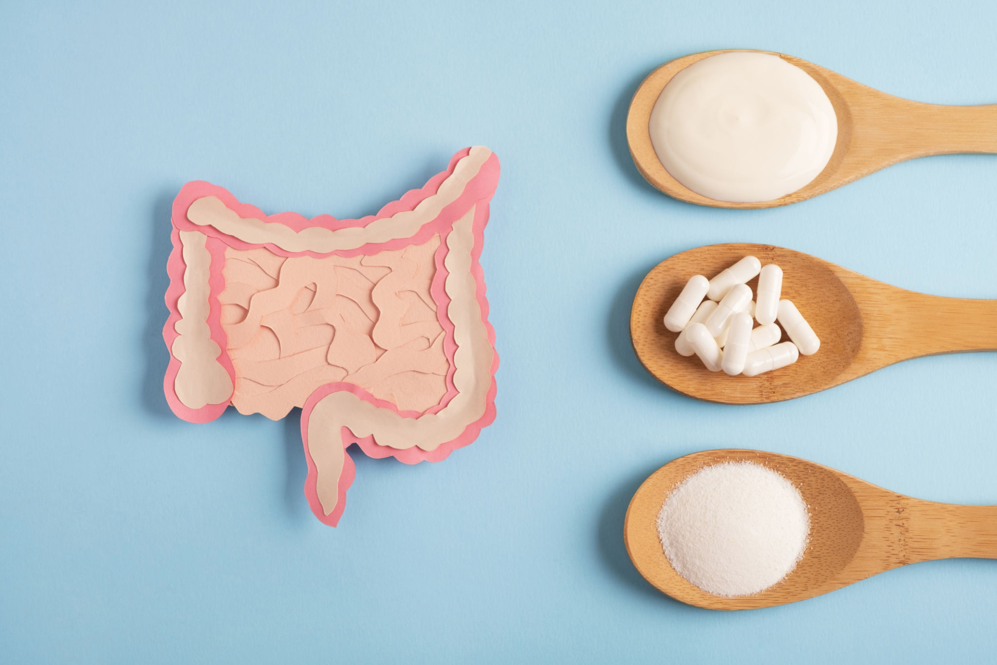 yogurt probiotics