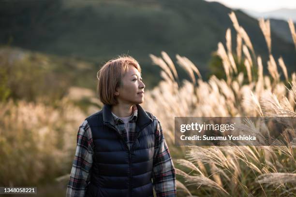 a woman admiring the view from the pass's observatory. - shizuoka prefecture stock pictures, royalty-free photos & images